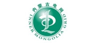 內蒙古電網 